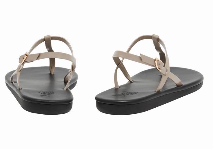 Sandales Bride Arrière Ancient Greek Sandals Lito Flip Flop   | WWS-8247319